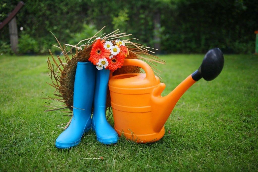 Essential gardening tips for a beautiful home garden